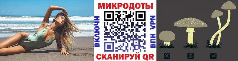 Купить закладки  Кондрово  Псилоцибиновые грибы Cubensis 